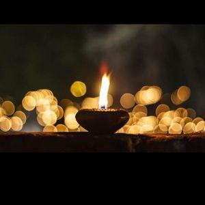 Meet your Posher, Bella